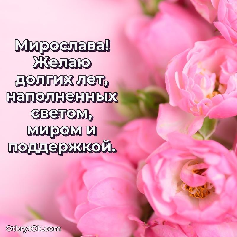 Открытка с пожеланиями Мирославе для ватсапа поздравление Мирославе 81 год