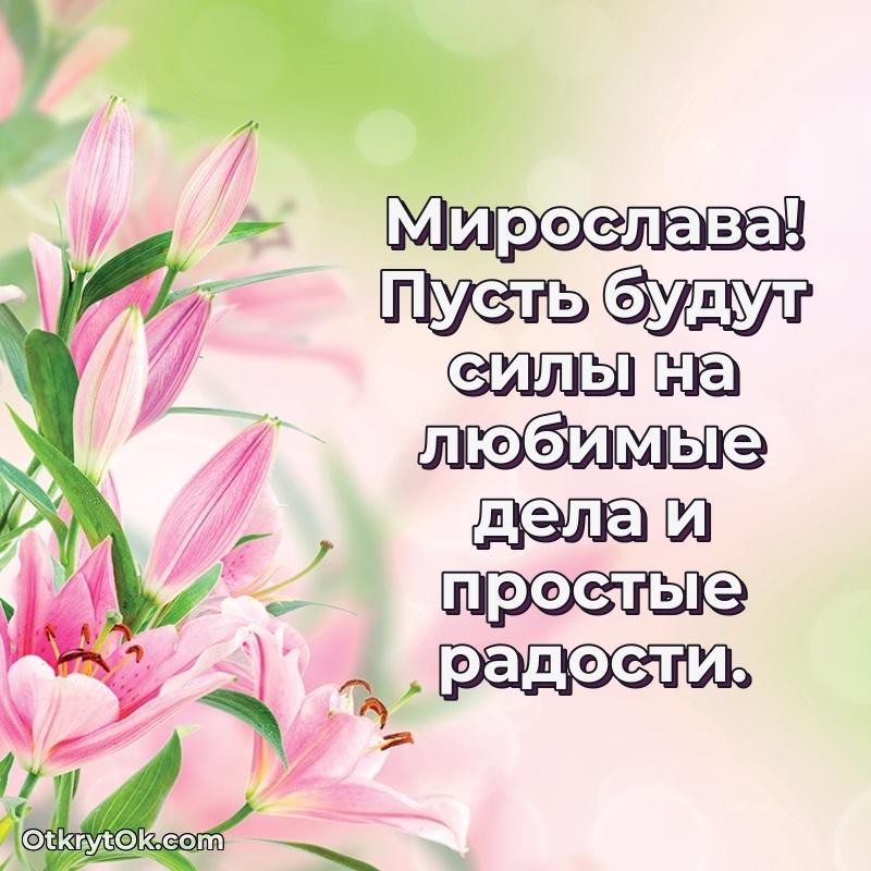 Поздравить сестру с др Мирославе