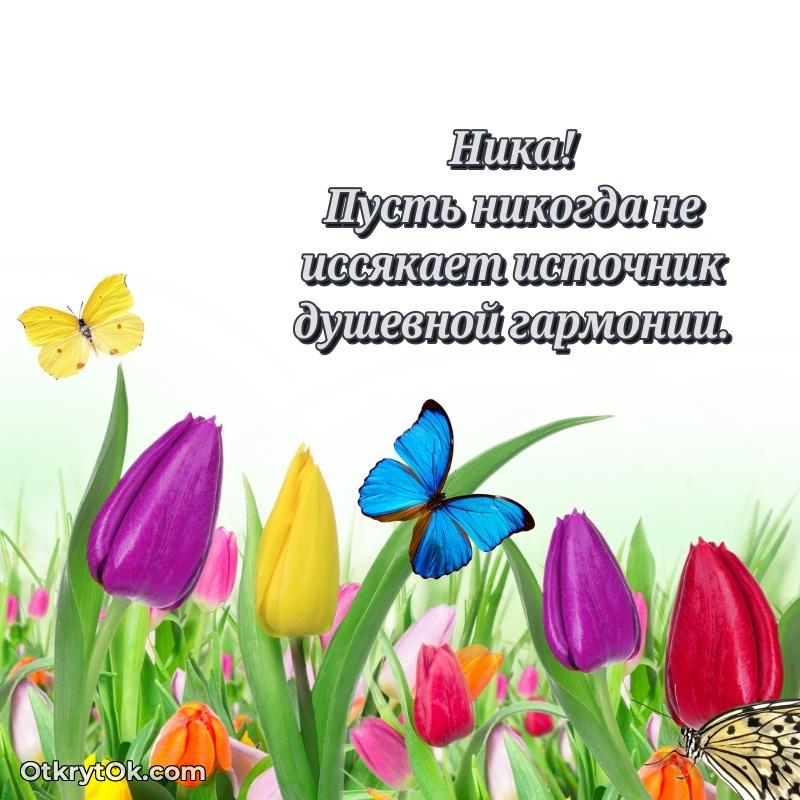 Открытка с пожеланиями и рисунком
