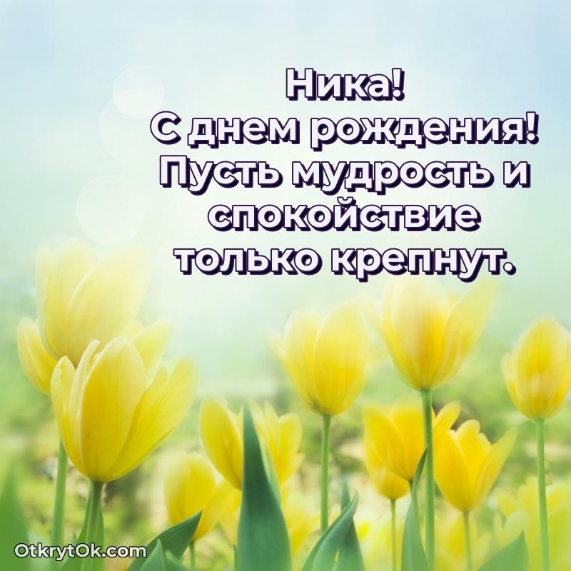Новые открытки с днем рождения праздничные Нике