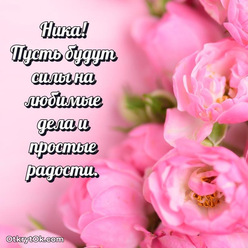 Поздравление Нике праздничные своими словами в прозе