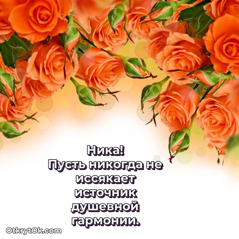 Красивая открытка — поздравление Нике