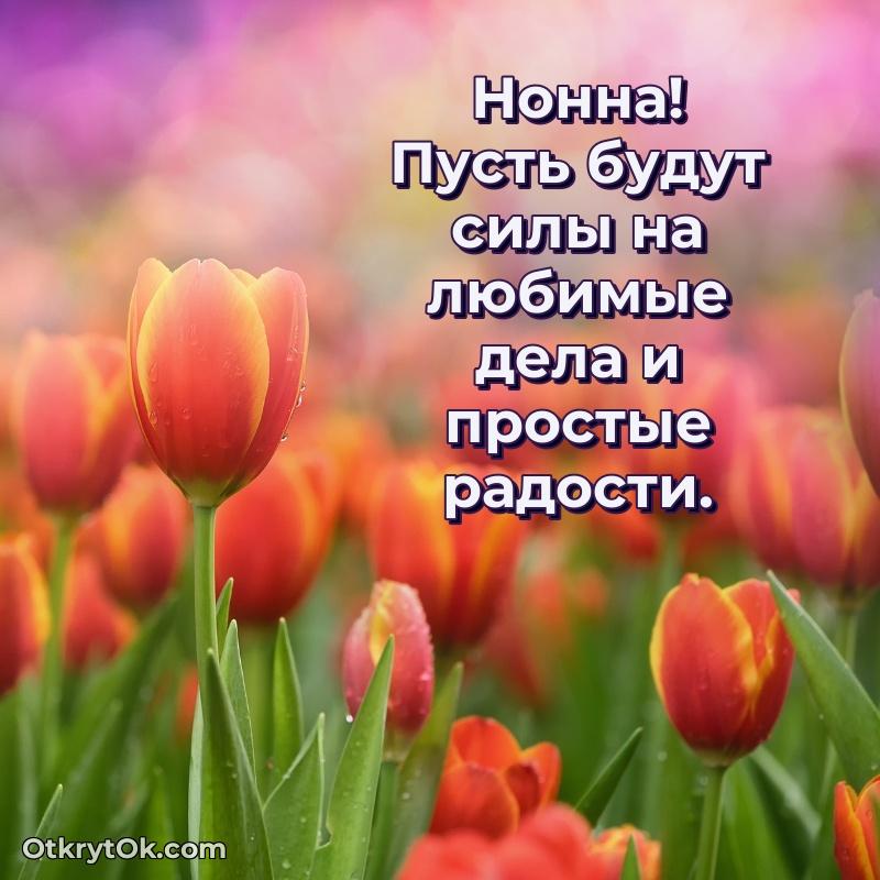 Поздравление Нонне праздничные своими словами в прозе