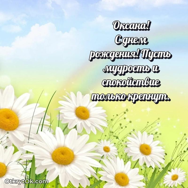 Мини — открытка человеку