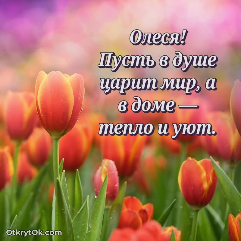 Современная открытка любовнице