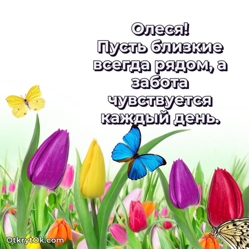 Новые открытки с днем рождения праздничные Олесе