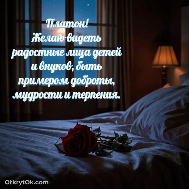Картинка — поздравление Платону на 78 лет