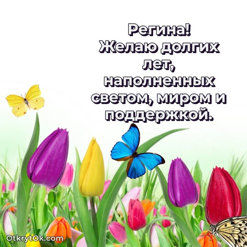 Короткое пожелание Регине