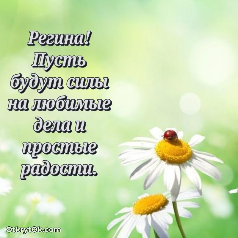 Мини — открытка человеку