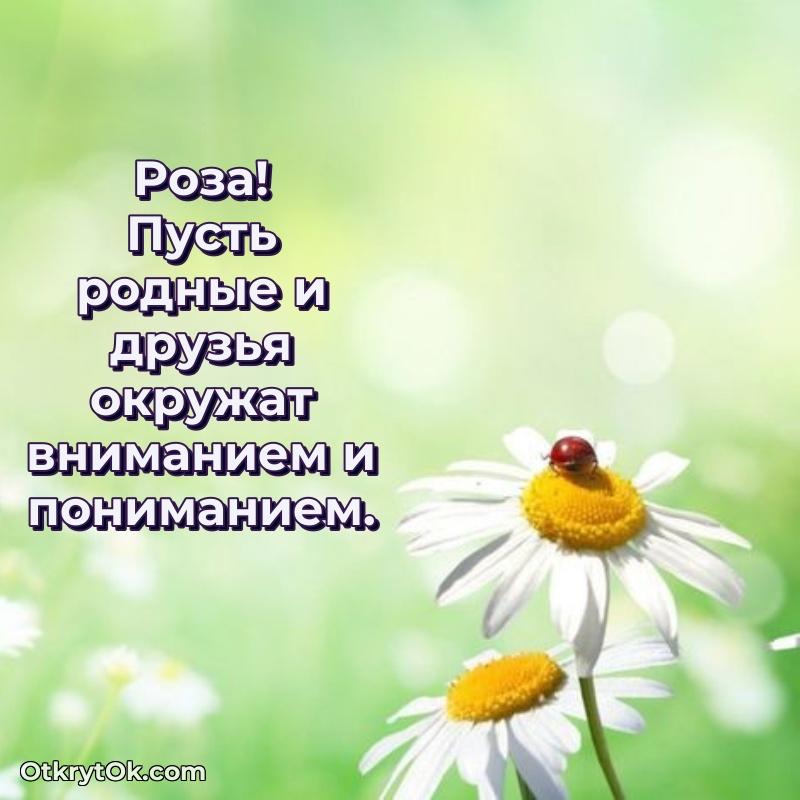 Открытка с пожеланиями и рисунком