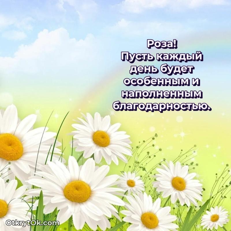 Открытка с пожеланиями Розе для ватсапа