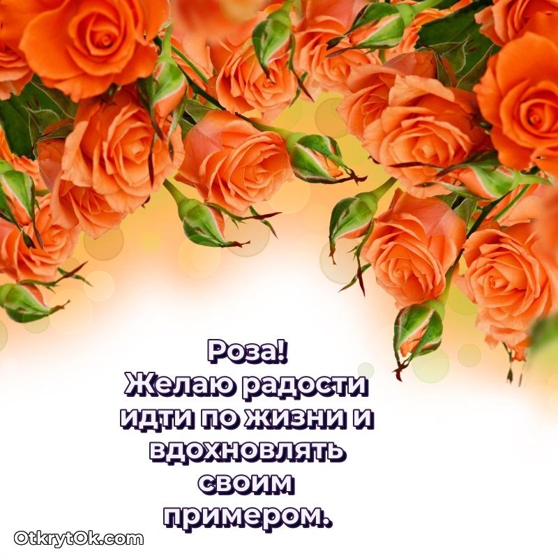 Тёплые слова Розе