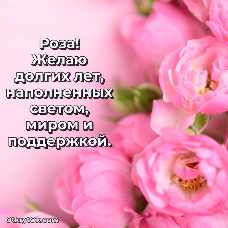 Тёплые слова Розе