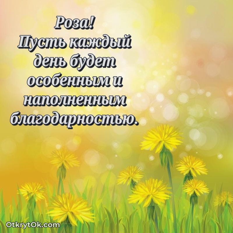 Идеи поздравлений Розе 71 год
