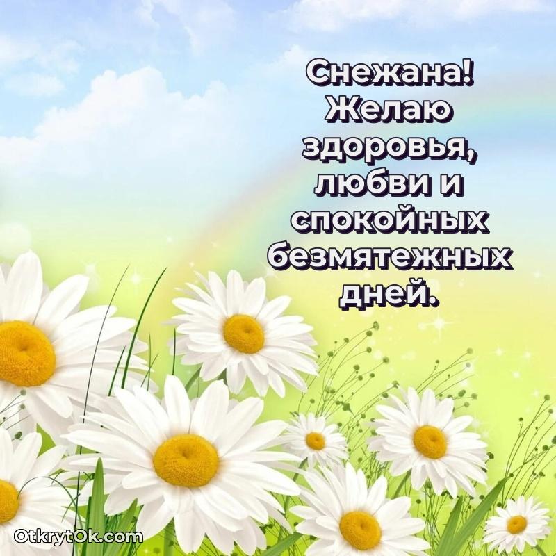Небольшая открытка с пожеланием Снежане