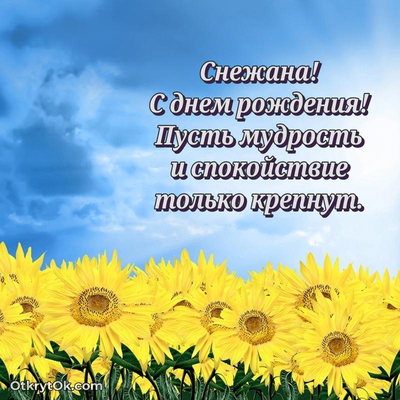Красочная поздравительная открытка