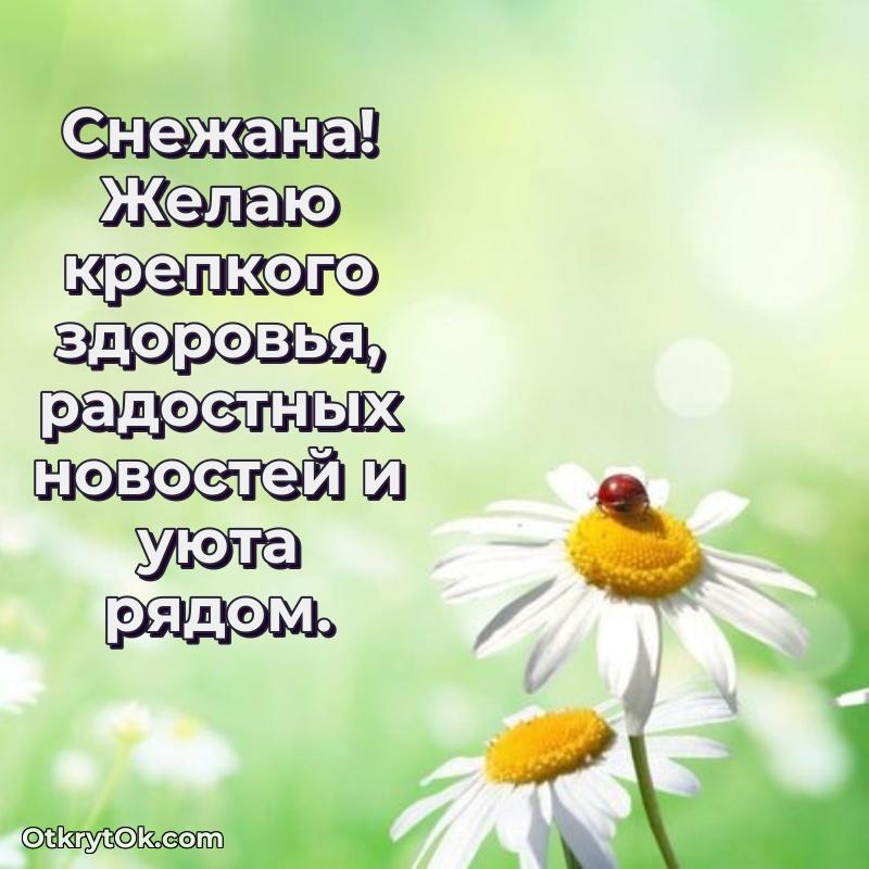 Короткое пожелание Снежане