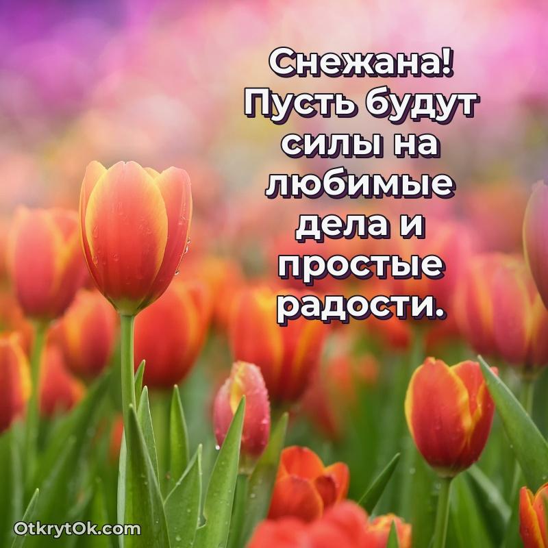 Картинка бабушке Снежане