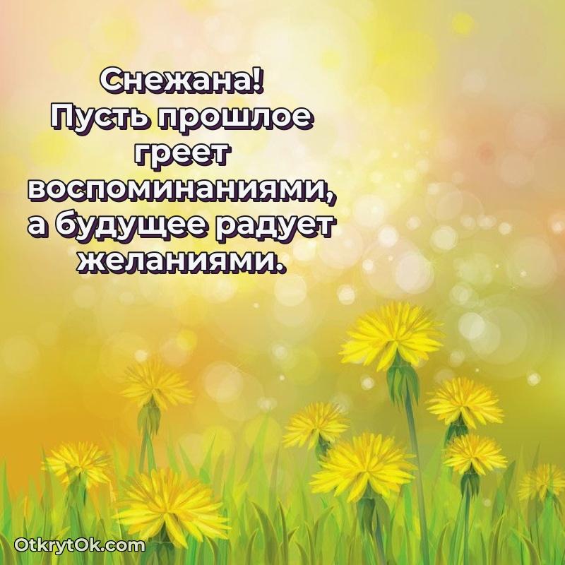 Открытка с пожеланиями и рисунком