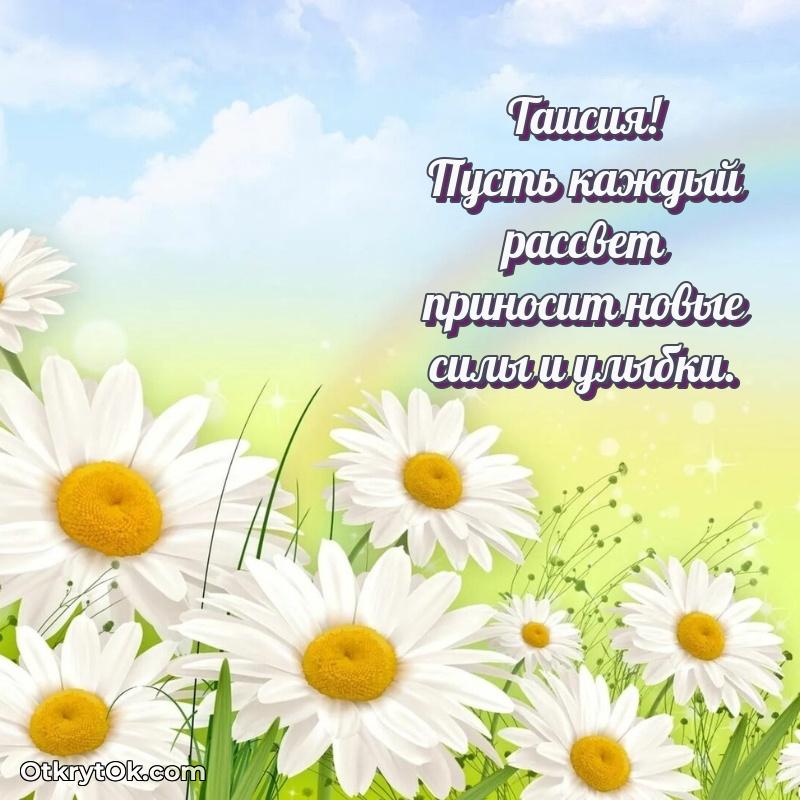 Открытка с пожеланиями Таисии для ватсапа