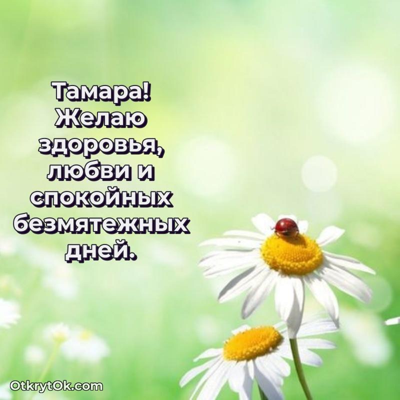 Скачать открытку Тамаре 76 лет