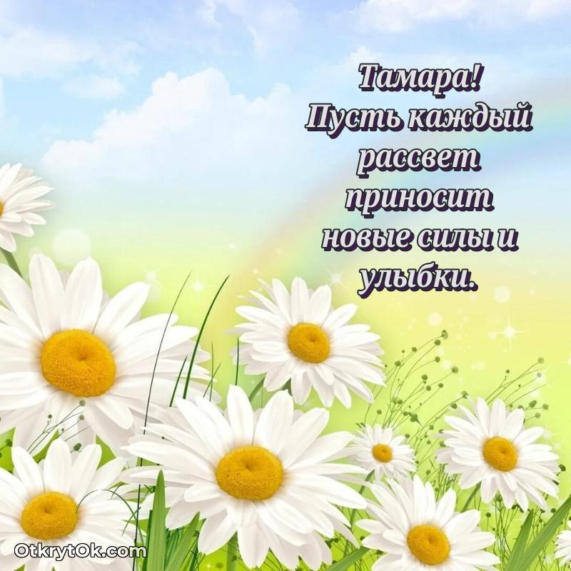 Тамара, поздравление на 76 лет