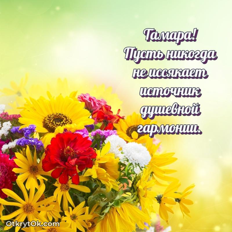 Красочная поздравительная открытка
