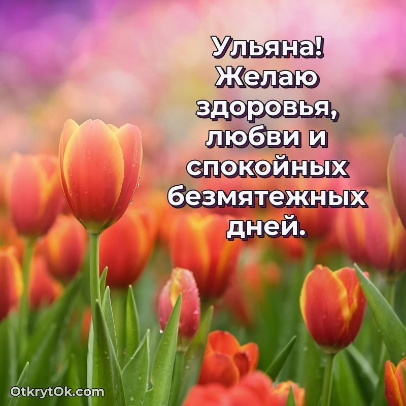 Готовая открытка поздравляемому