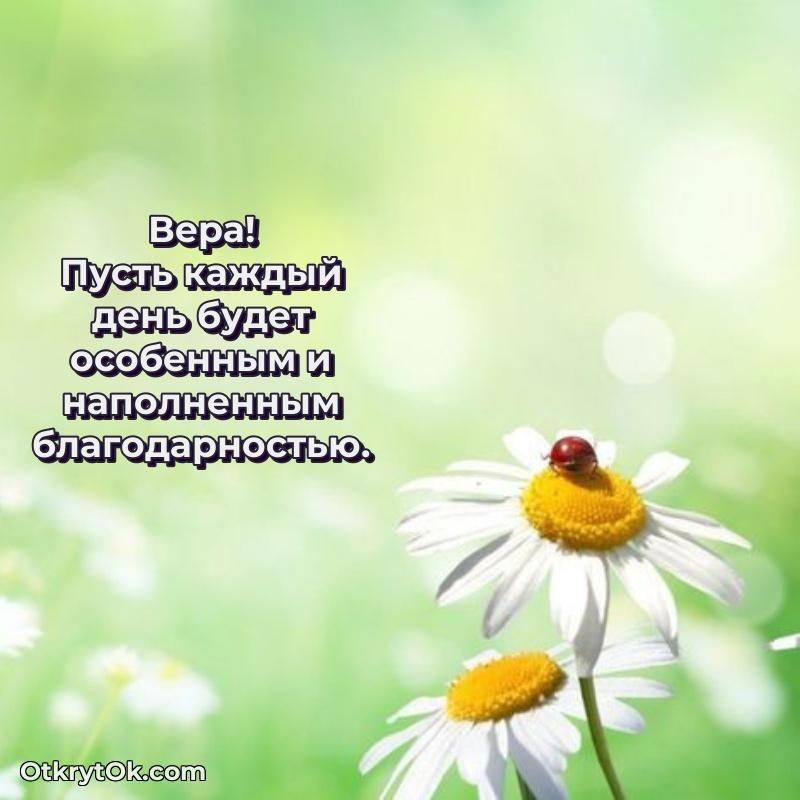 Пожелания маме Вере поздравление Вере 77 лет