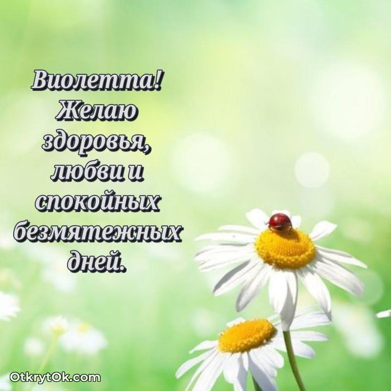Рисунок и пожелание Виолетте 72 года
