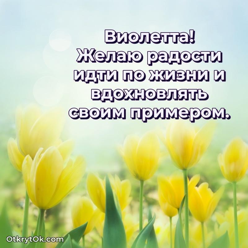 Тёплые слова Виолетте