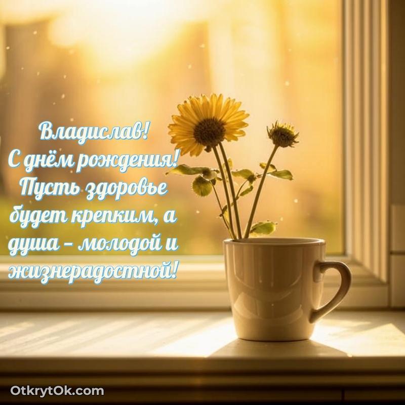 Красивая открытка — поздравление Владиславу