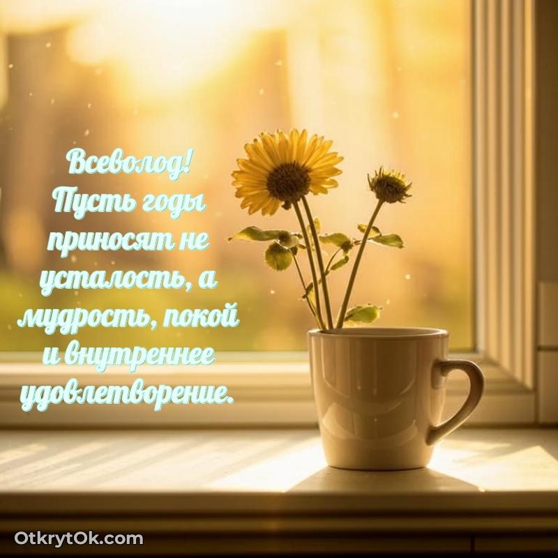 Поздравить друга с др Всеволоду