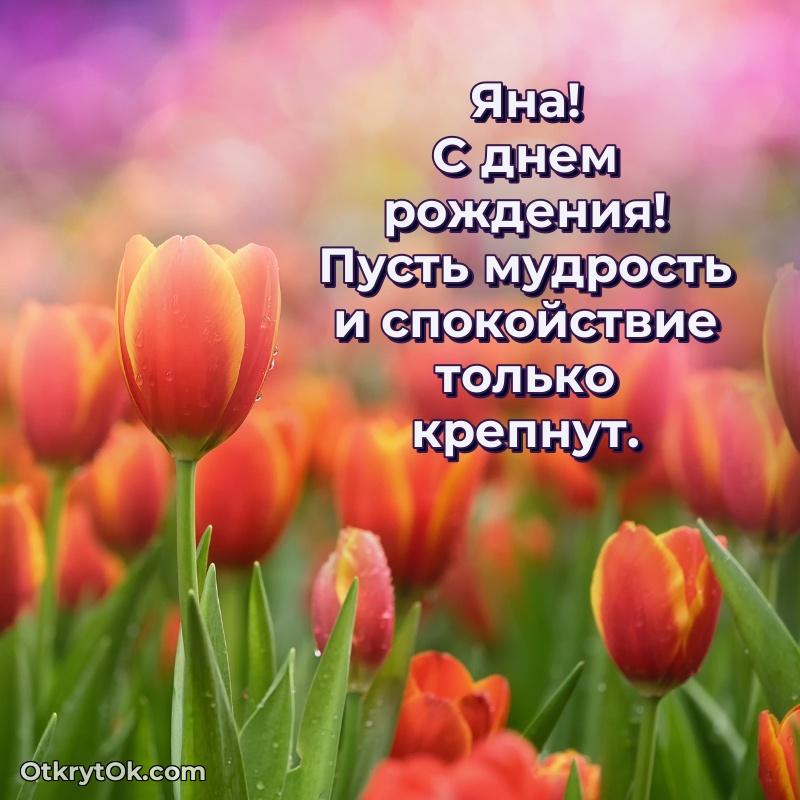Новые открытки с днем рождения праздничные Яне