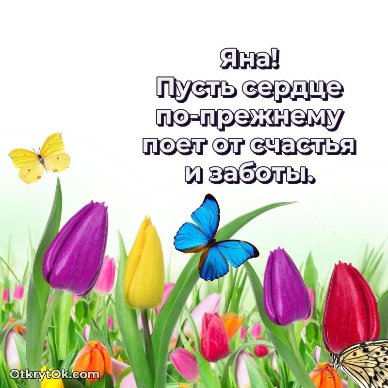 Иллюстрация для поздравления