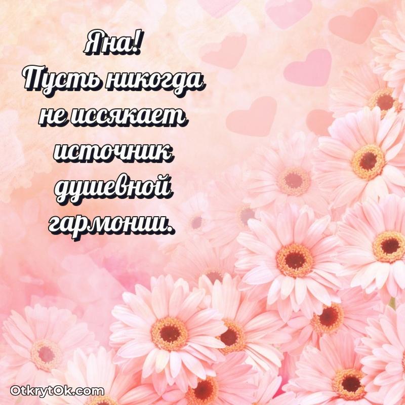 Тёплые слова Яне