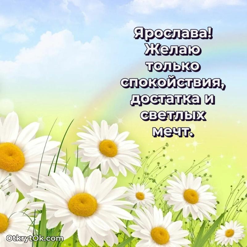 Прикольная гифка Открытка для ватсап с днем рождения Ярославе