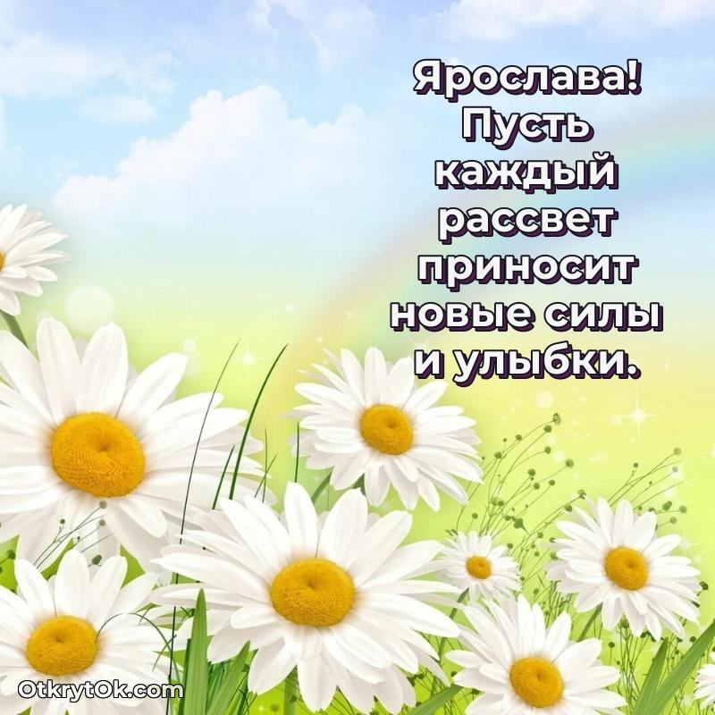 Иллюстрация для поздравления