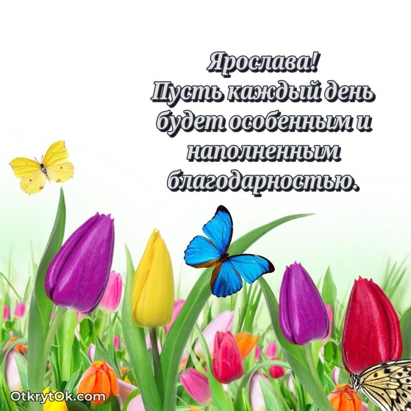 Открытка с пожеланиями и рисунком