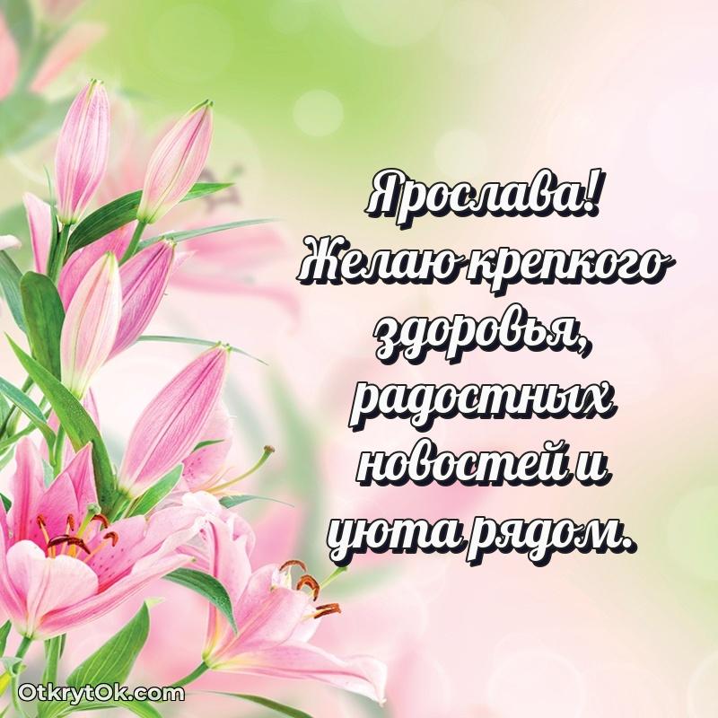 Тёплые слова Ярославе