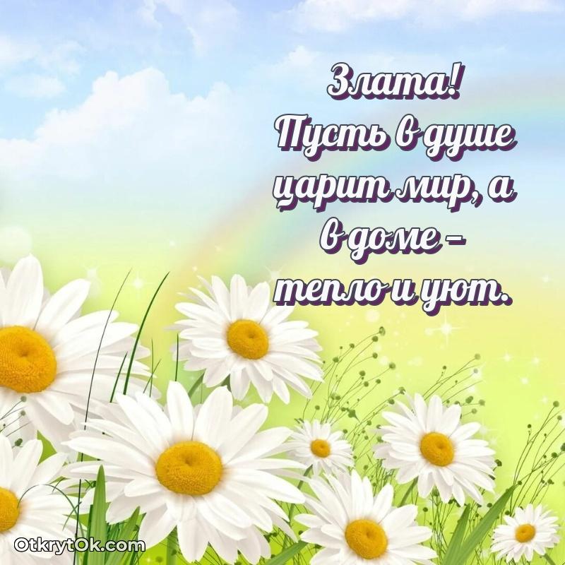 Красивая открытка — поздравление Злате