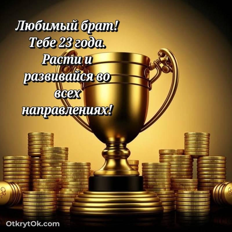 Картинка прикольная Брату на 23 года