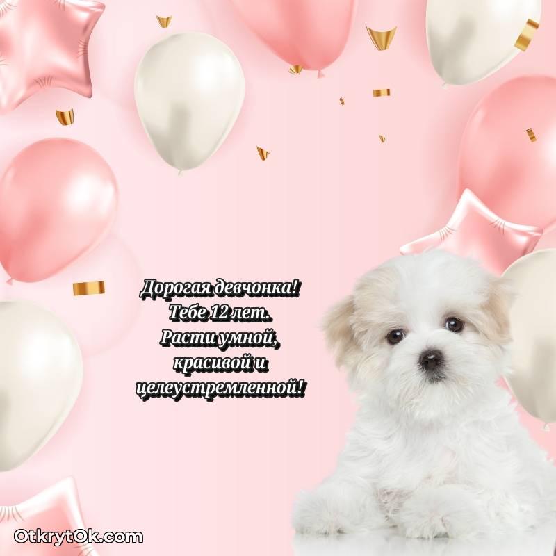 Девочке открытки на 12 лет