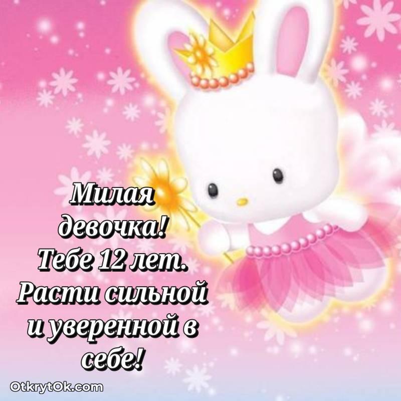 Картинка прикольная Девочке на 12 лет