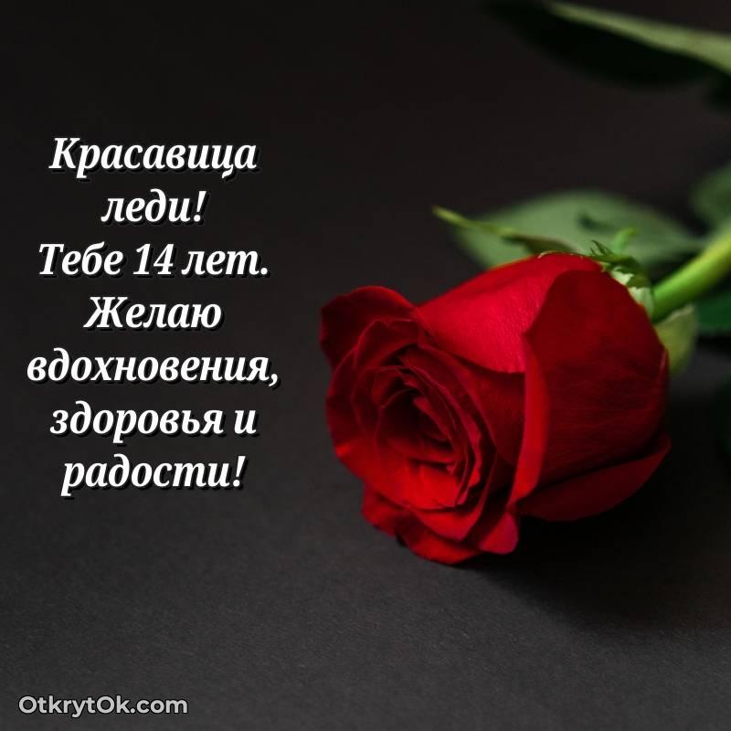 Иллюстрация Девушке на 14 лет — весёлое