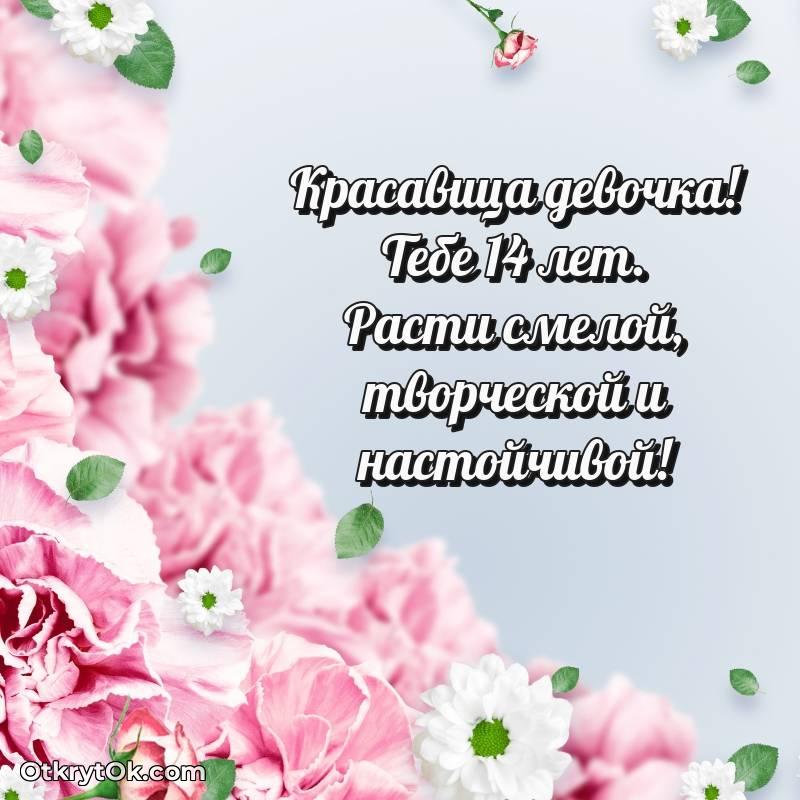 Картинка прикольная Девушке на 14 лет