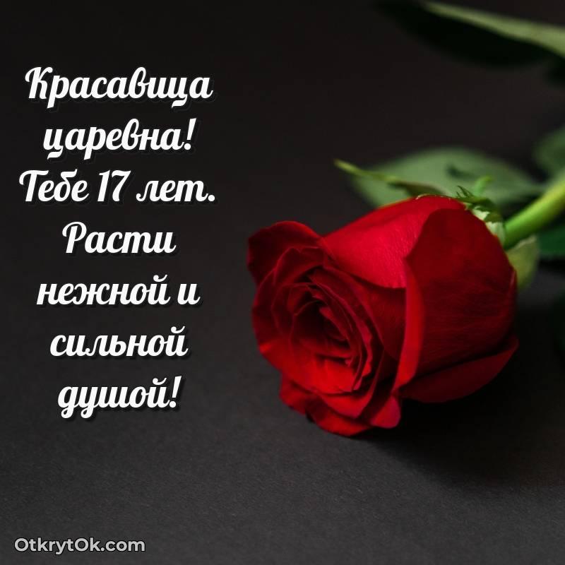 Скачать открытку Девушке с юбилеем на 17 лет