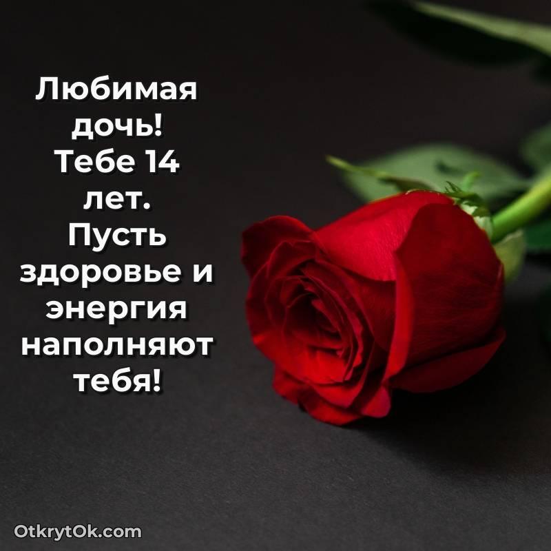 Иллюстрация Дочери на 14 лет