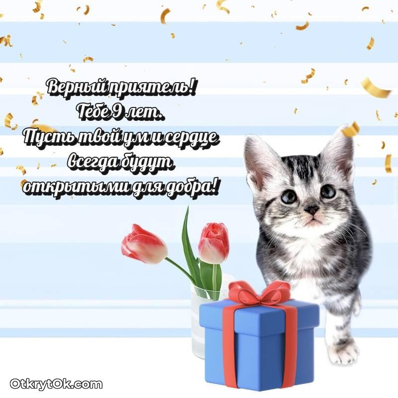 скачать прикольную гифку на др