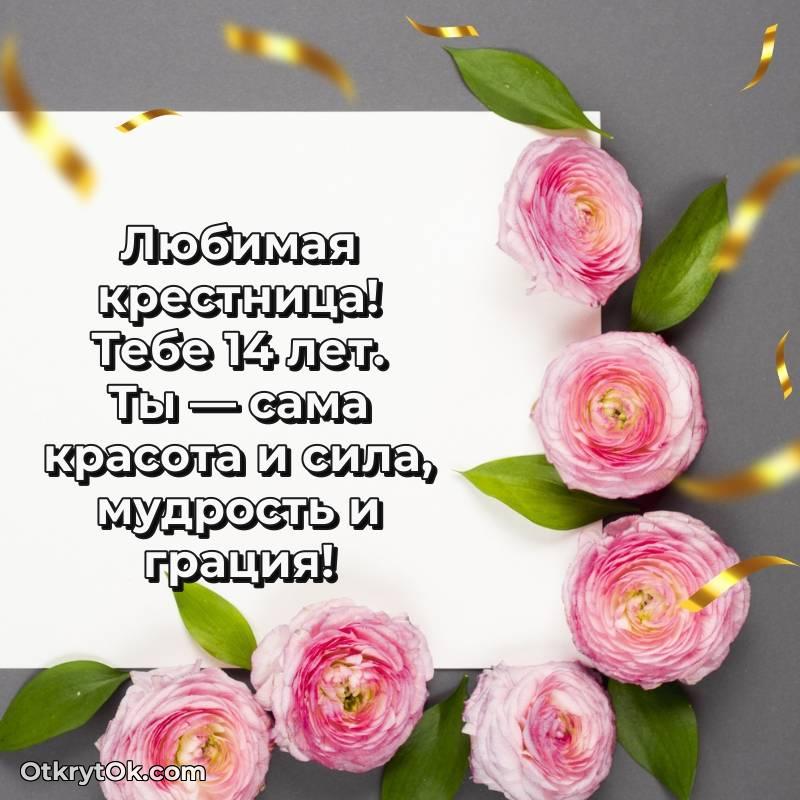 Картинка прикольная Крестнице на 14 лет